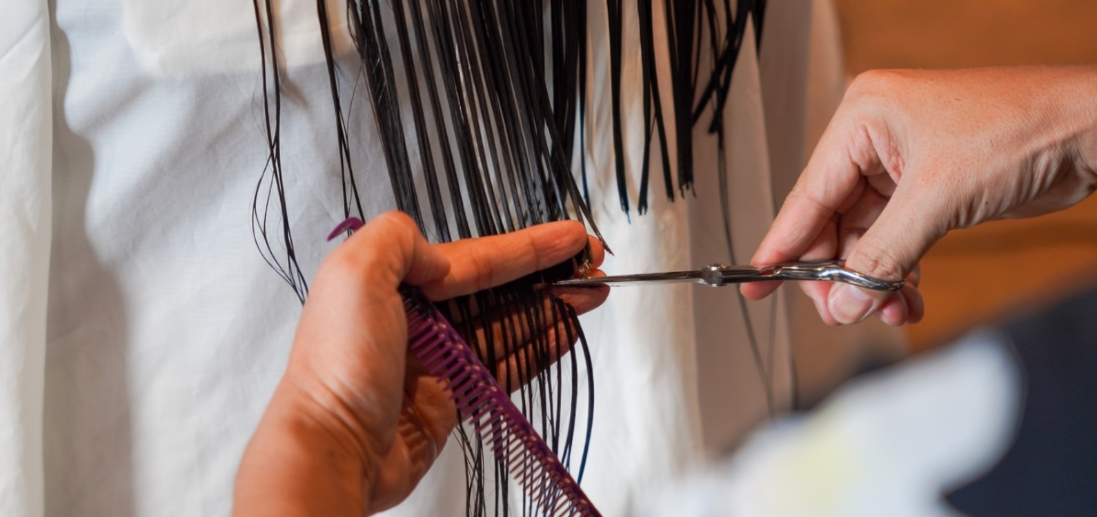 amboo grassについて