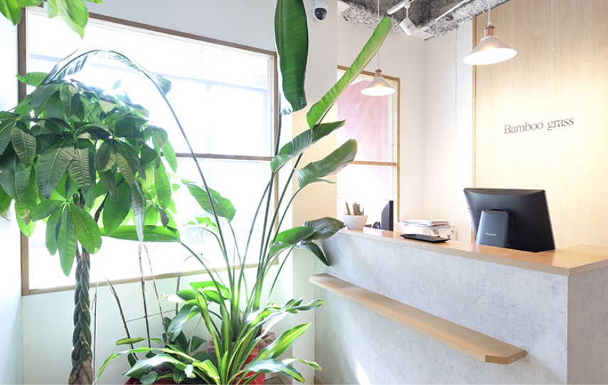 Bamboo grass本店