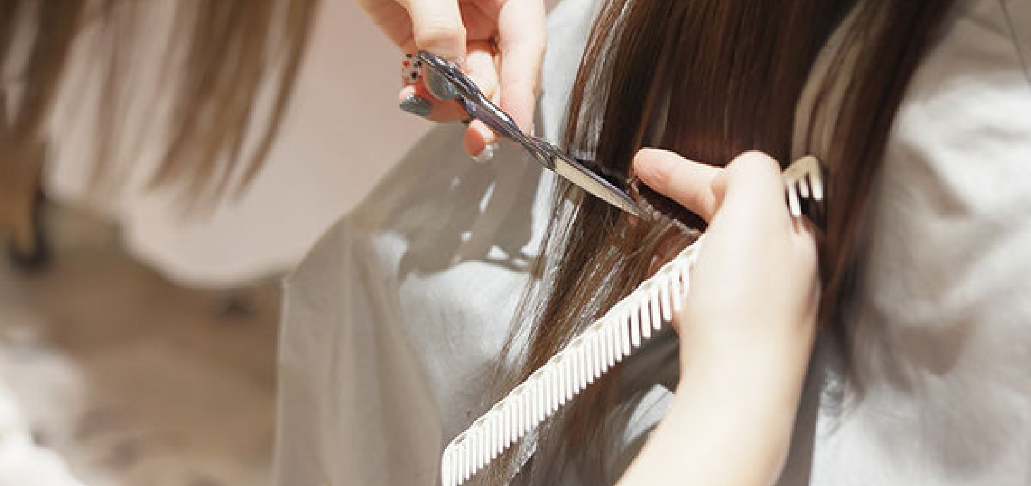 amboo grassについて