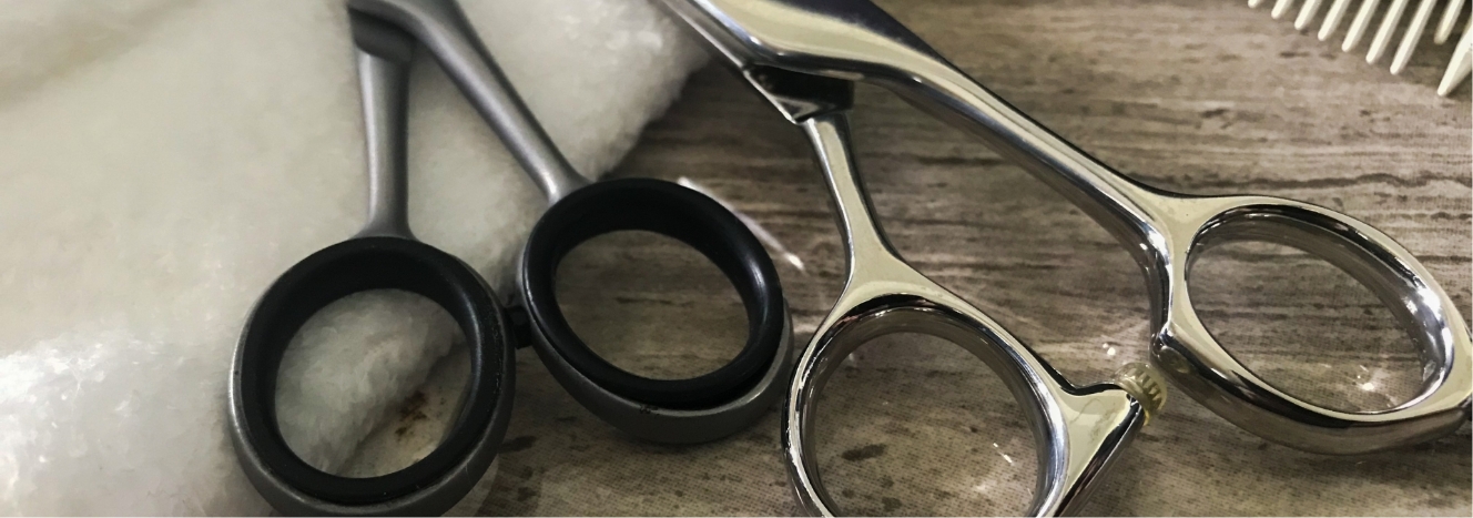 仲間とともに広がる輪