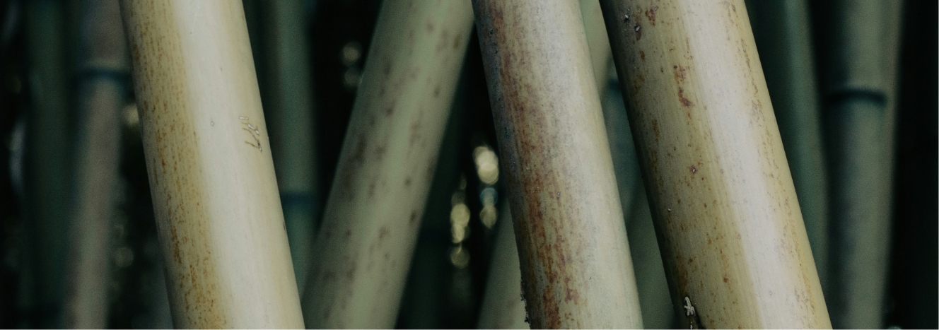 美しさをつなぐ、これからの時代へ。